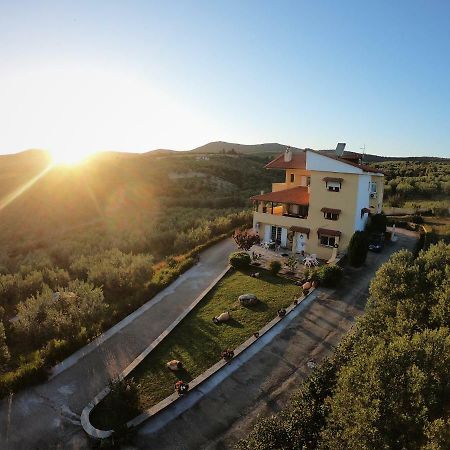 Big Summer House Halkidiki Ψακούδια Εξωτερικό φωτογραφία
